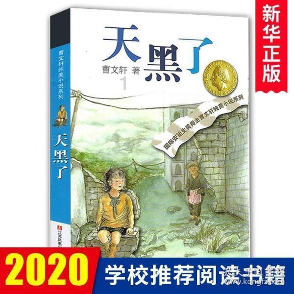 美妙的夏天